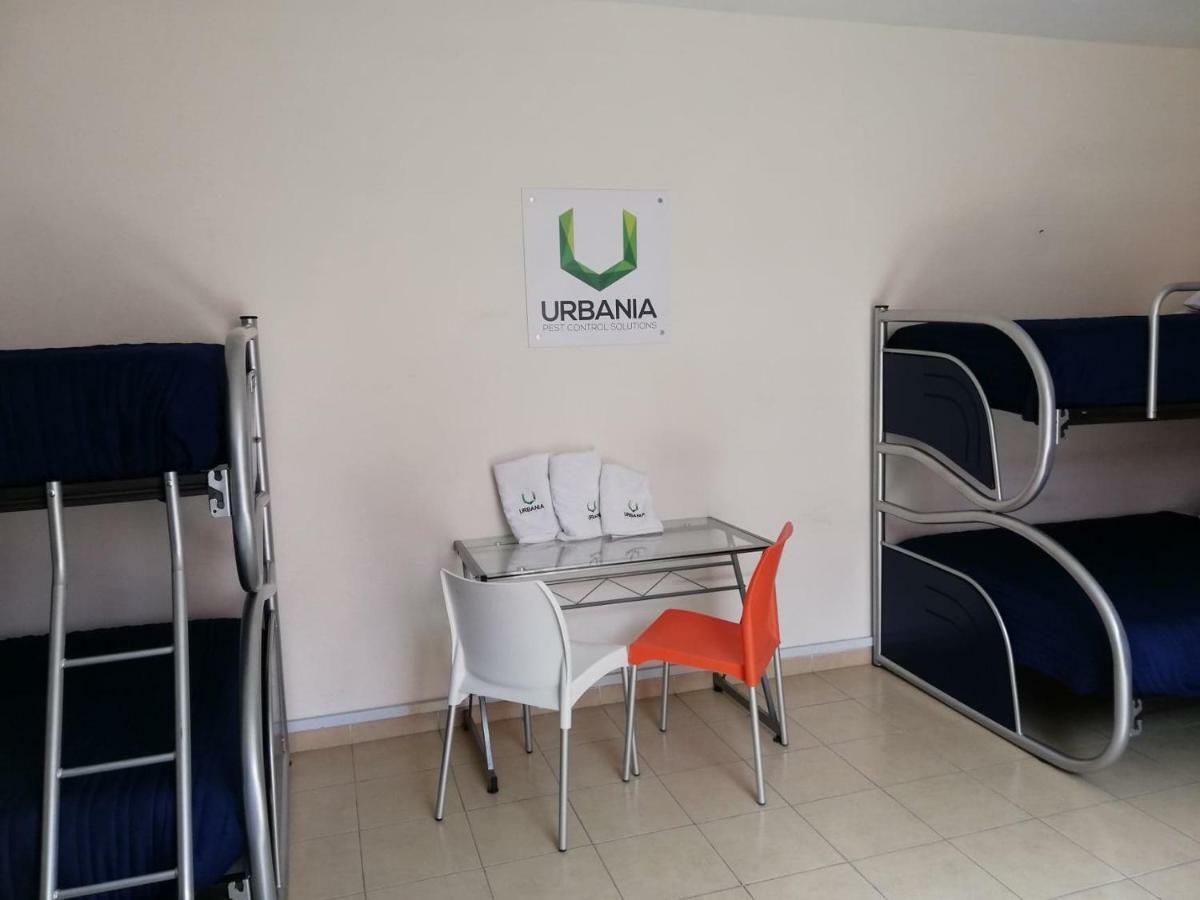Pensión Urbania Hostels